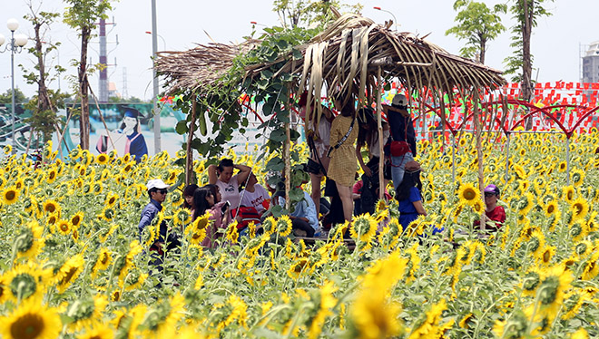 Nóng &#34;thở ra lửa&#34;, hàng trăm người vẫn đội nắng check-in cánh đồng hoa ở Sài Gòn - 13